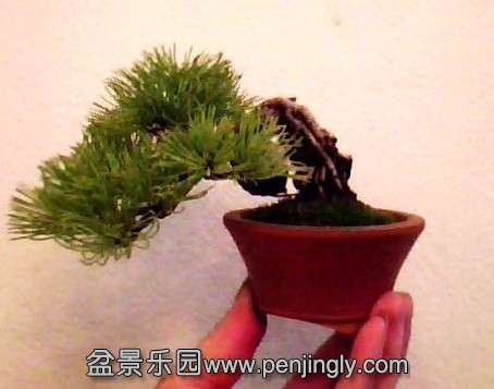 QQͼƬ20130930214705.jpg