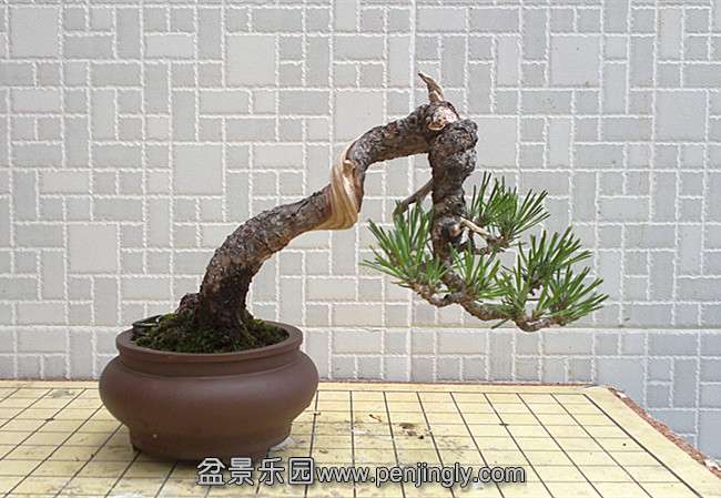 201408311431_.jpg