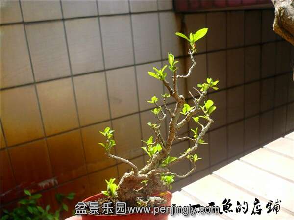 QQͼƬ20140905151920.jpg