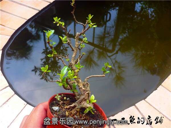 QQͼƬ20140905151941.jpg