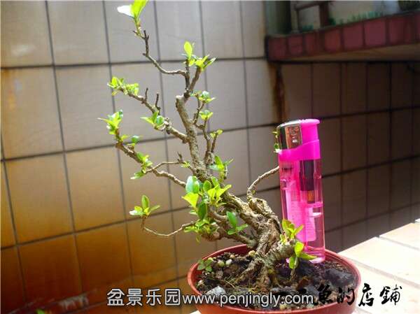 QQͼƬ20140905151951.jpg