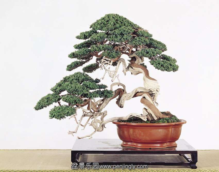 p10.jpg
