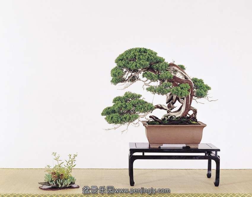 p23 (1).jpg
