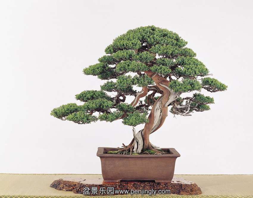 p24.jpg