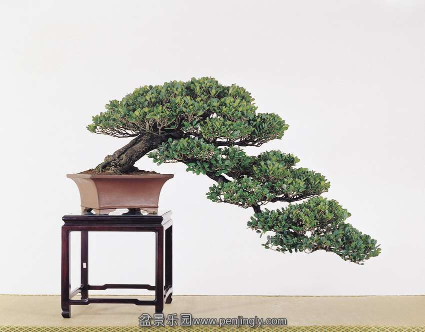p30 (1).jpg