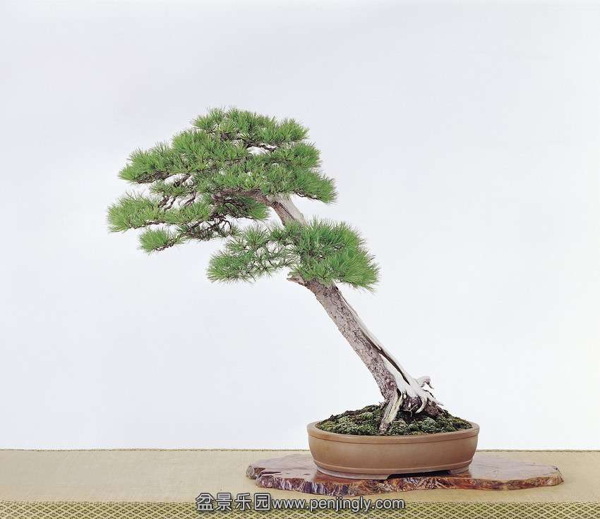 p59 (1).jpg