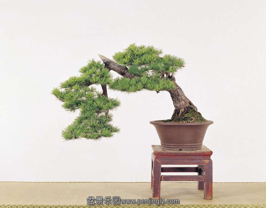 p59 (2).jpg