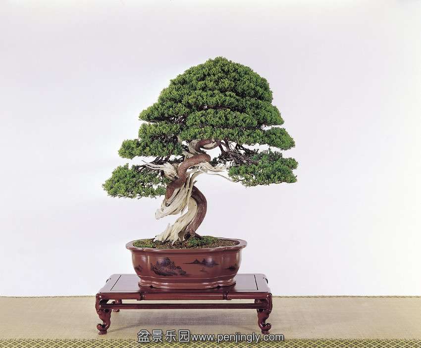p60 (1).jpg