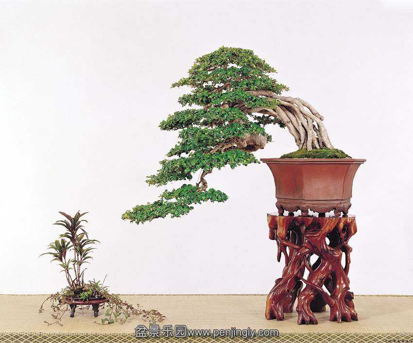p62 (1).jpg
