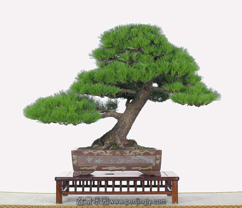 p59.jpg