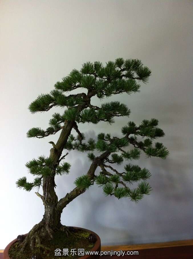 QQͼƬ20140906120419.jpg