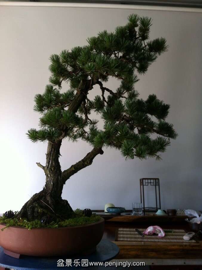 QQͼƬ20140906120356.jpg