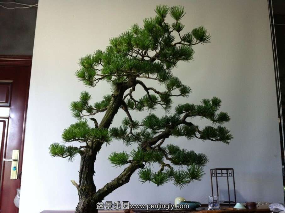 QQͼƬ20140906120403.jpg