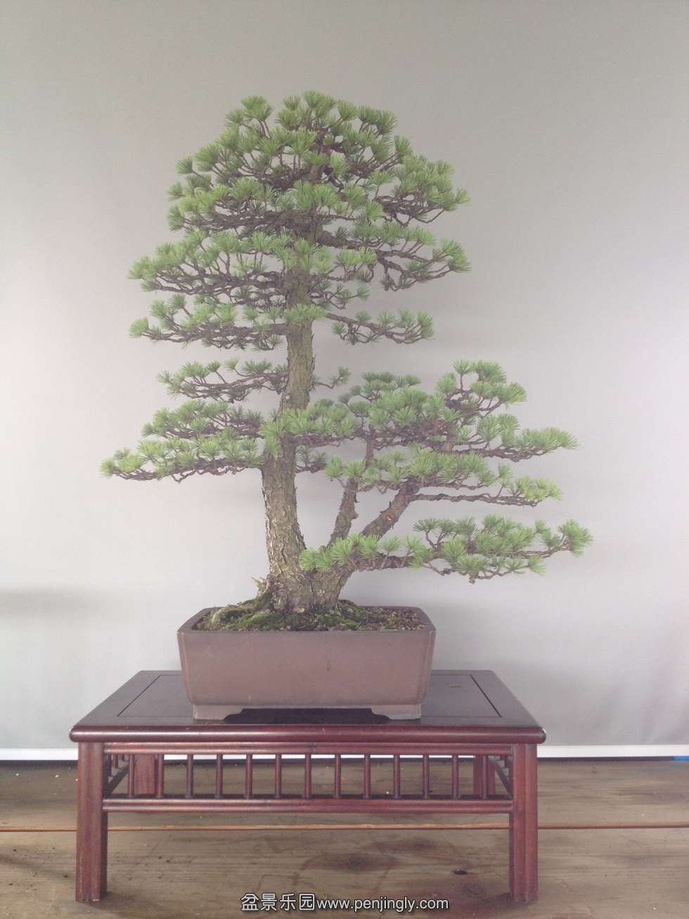 �����85cm,��8cm,4cm,3cm