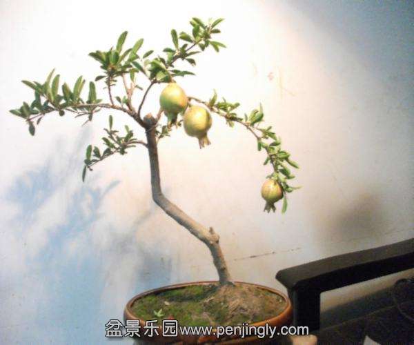 DSCF2864.JPG