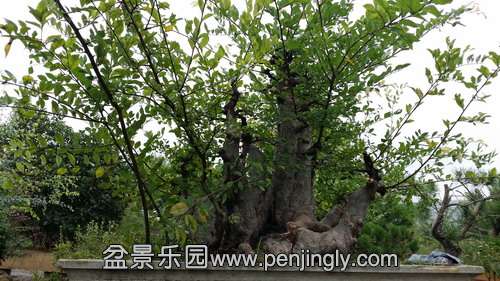 20140816_113648.jpg