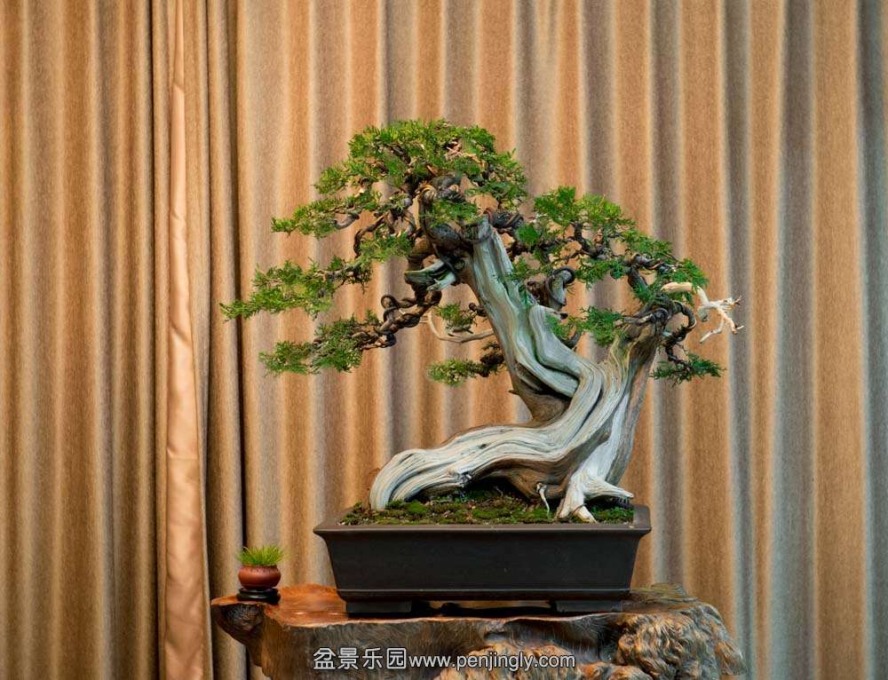 ĸ������ (1).jpg