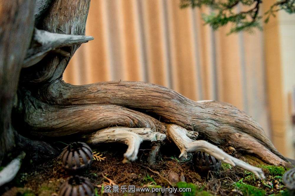 ĸ������ (3).jpg