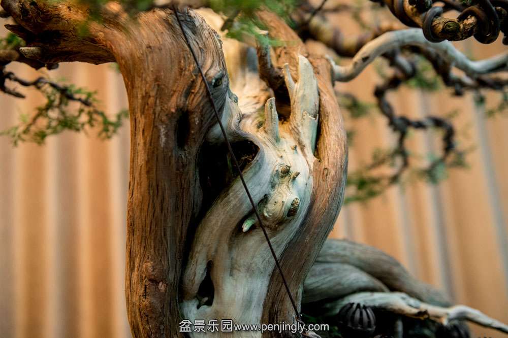 ĸ������ (2).jpg