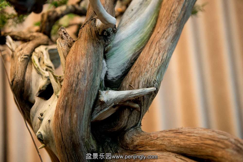 ĸ������ (4).jpg