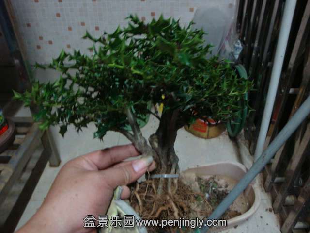 DSC08869.JPG