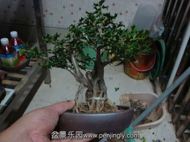 DSC08870.JPG