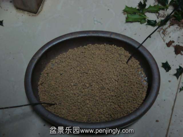 DSC08874.JPG