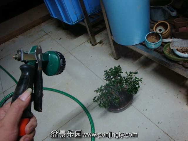 DSC08878.JPG