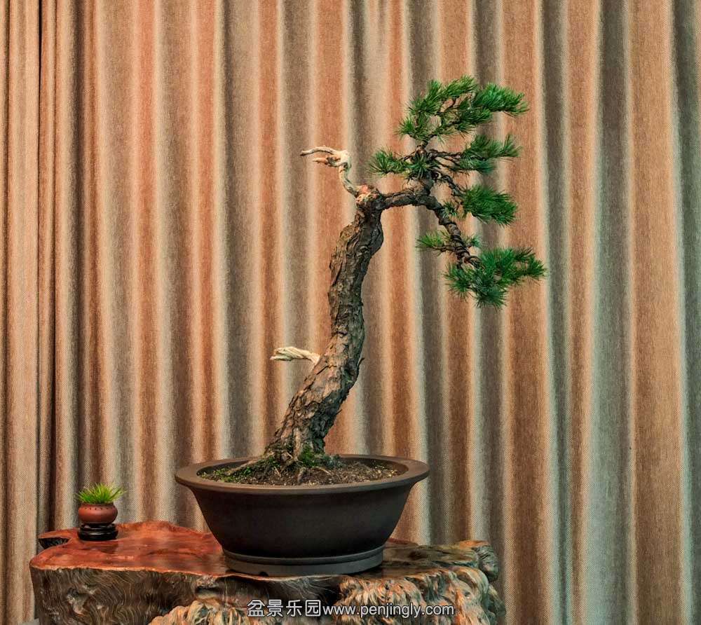 ������ (1).jpg