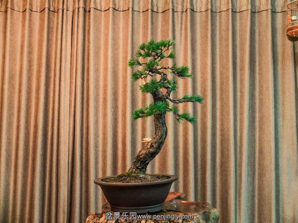 ������ (3).jpg