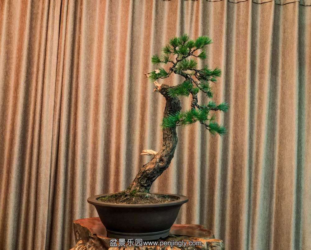 ������ (4).jpg