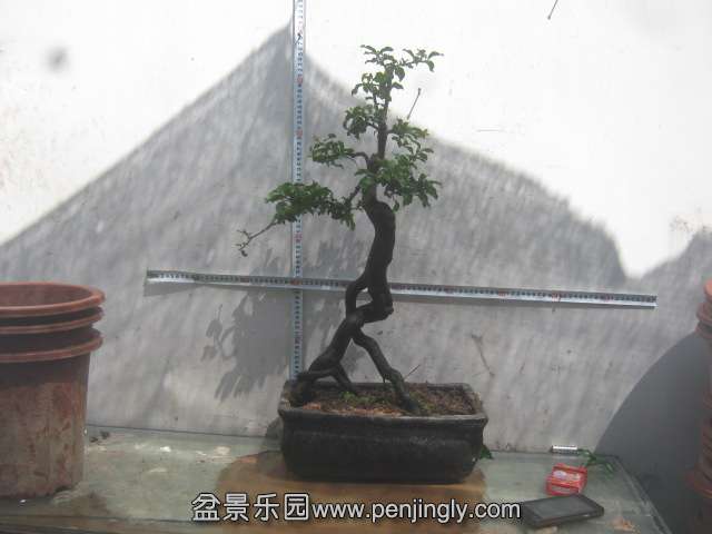 IMG_2886.JPG