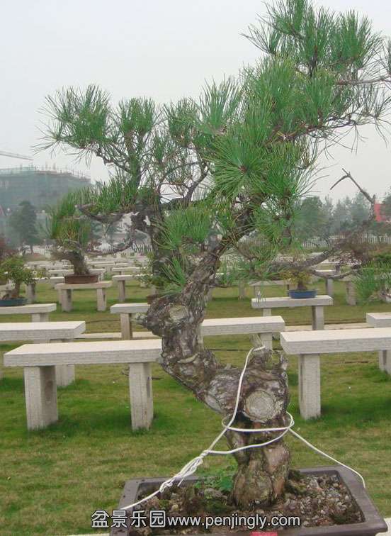 ���� (1).jpg