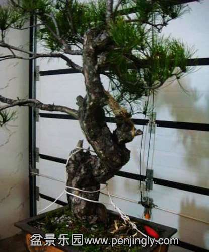 ���� (2).jpg