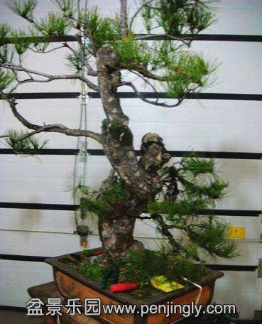 ���� (3).jpg