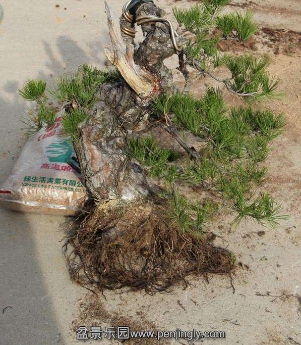 ���� (4).jpg