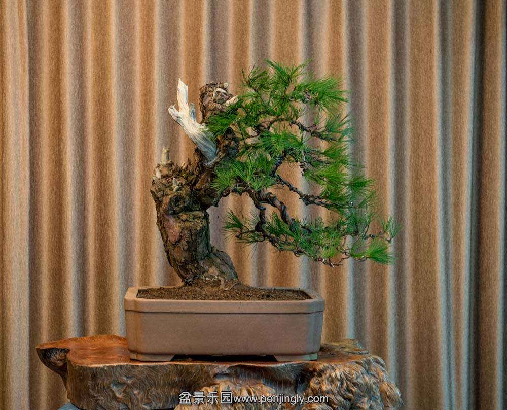 ���� (6).jpg