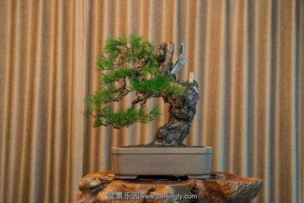 ���� (8).jpg