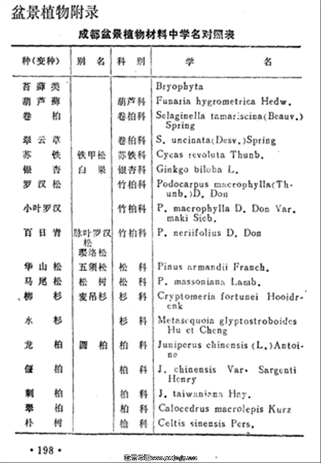 ˴𡶳ɶ辰198.jpg