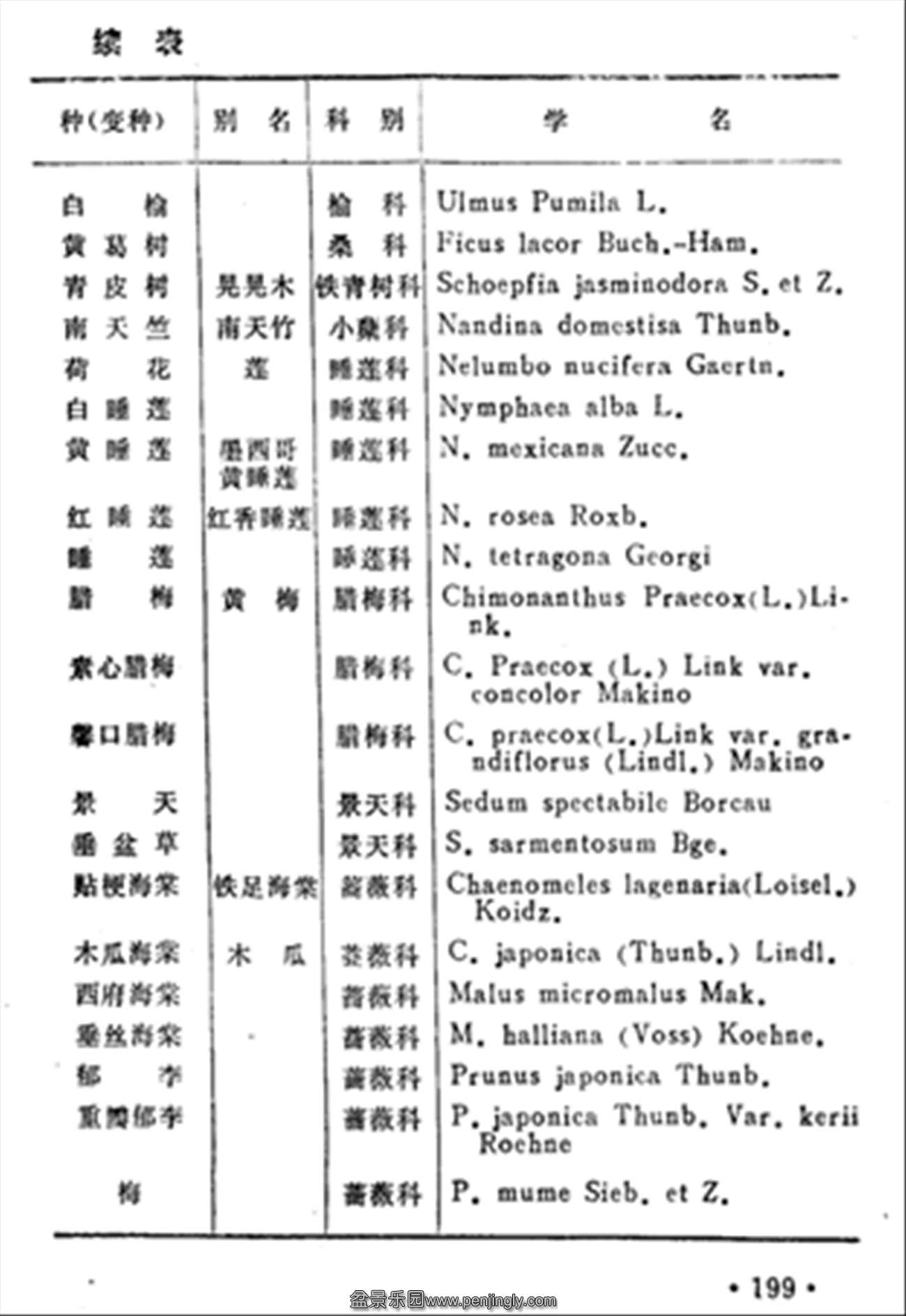 ˴𡶳ɶ辰199.jpg