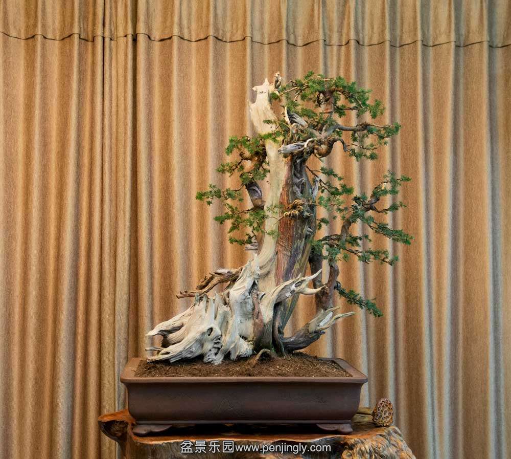 ���� (2).jpg