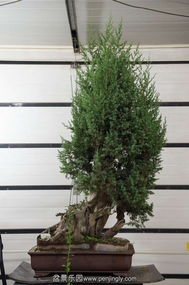 ���� (1).jpg