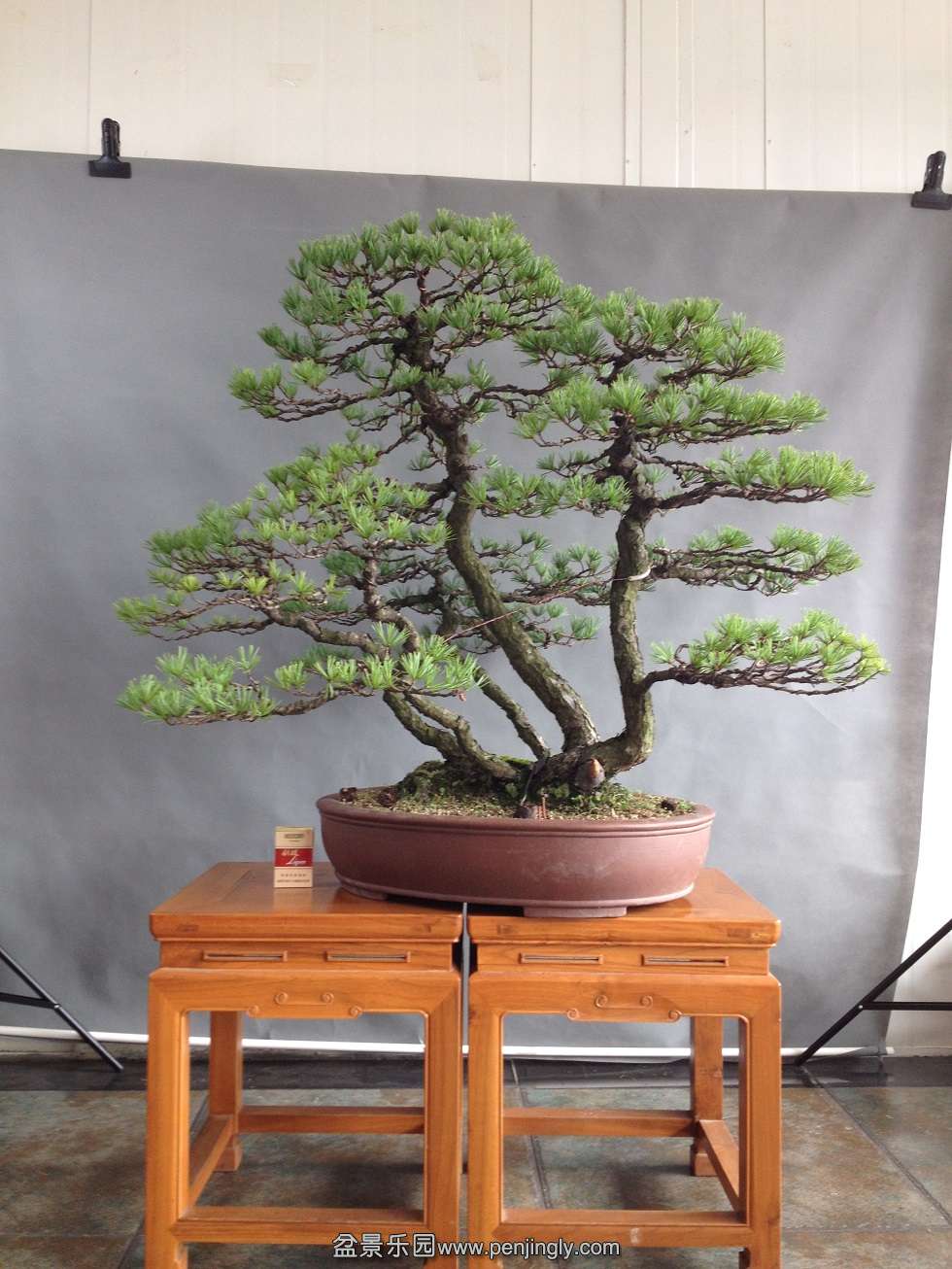 �����85cm������110cm��5cm,4.5cm,4cm,3cm,3cm