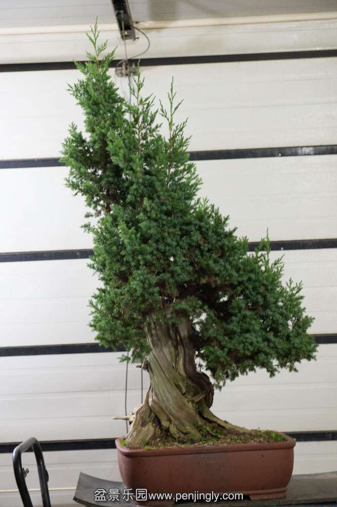 �̰� ������Ϣ (3).jpg