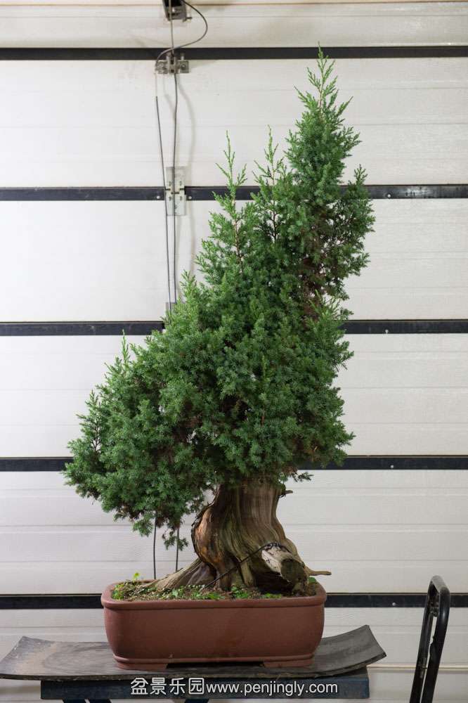 �̰� ������Ϣ (2).jpg