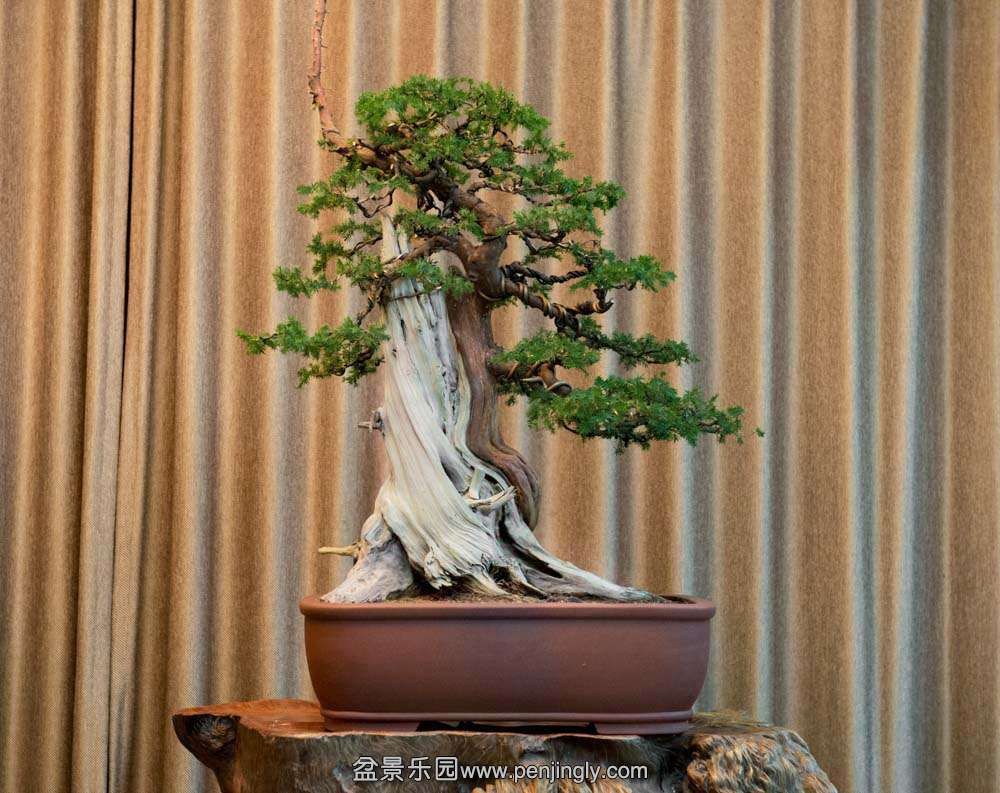 �̰� ������Ϣ (5).jpg