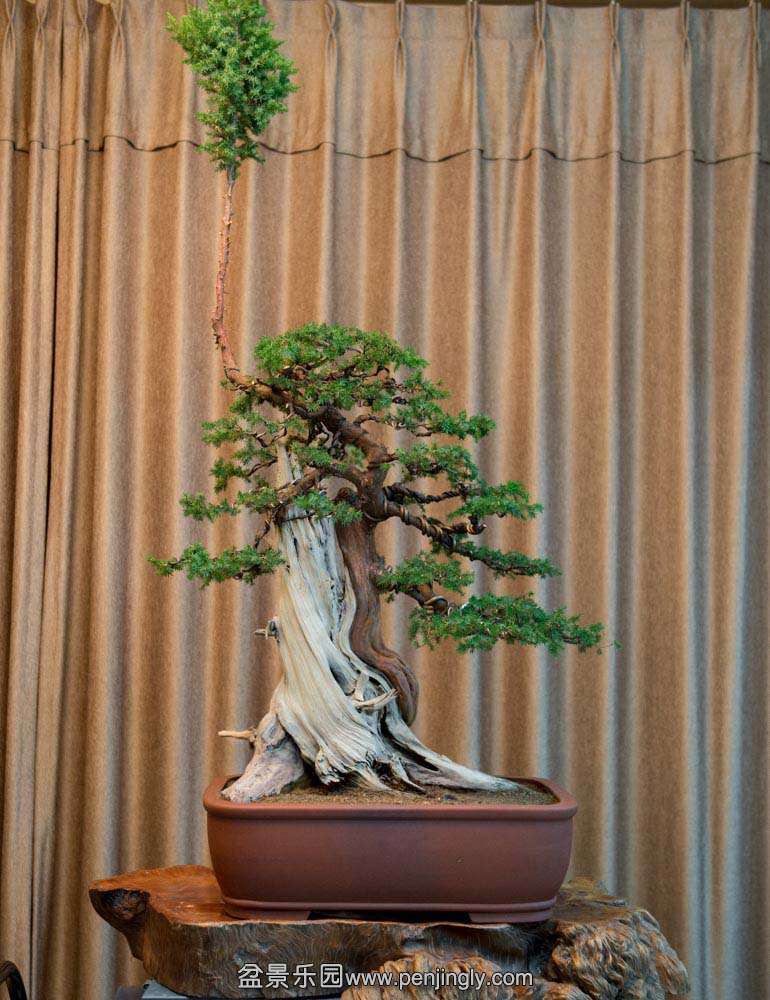 �̰� ������Ϣ (4).jpg