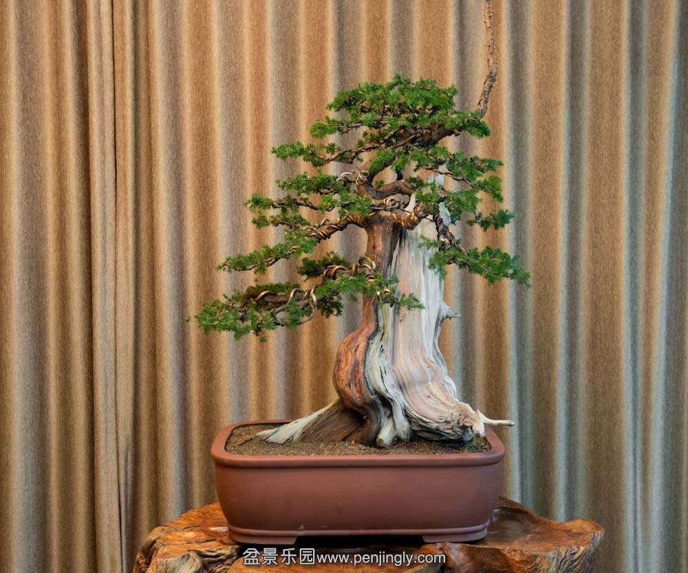 �̰� ������Ϣ (6).jpg