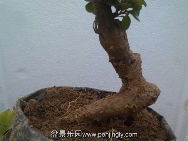 IMG_20140911_113801.jpg
