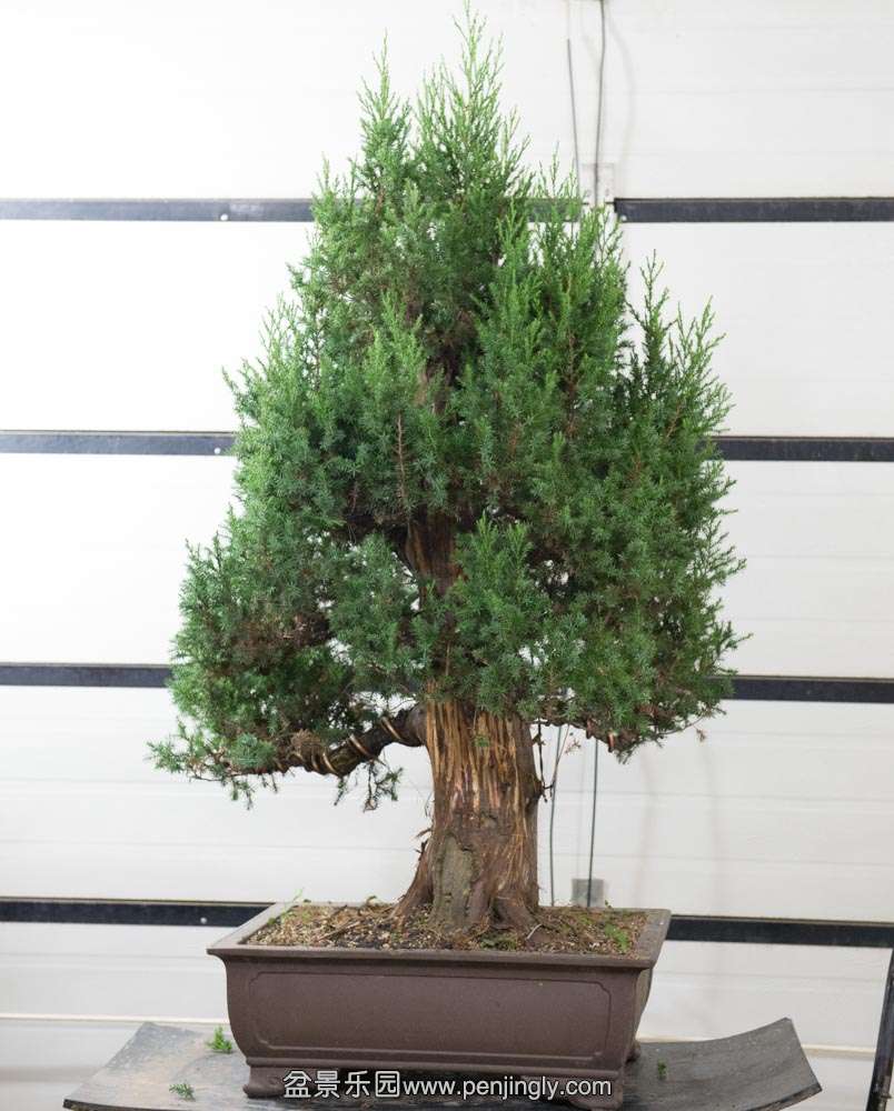 �����ʹ̰� (2).jpg